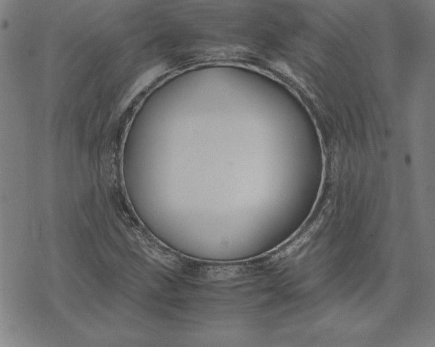 X0000072551211200607281640