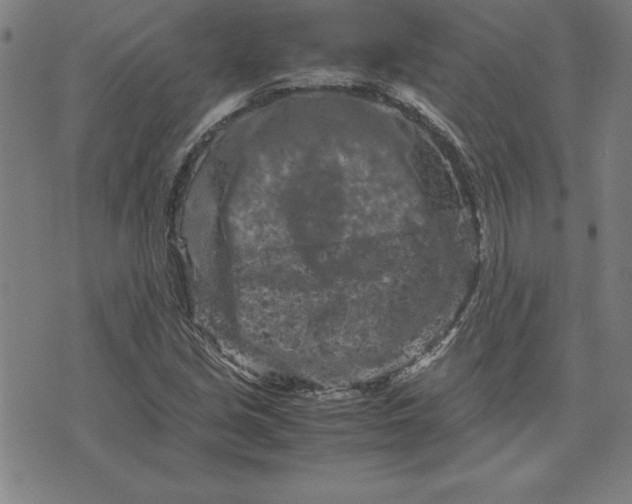 X0000072551213200607281640