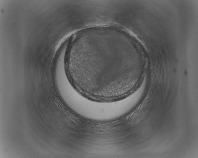 X0000072551214200607281640