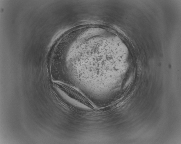 X0000072551215200607281640