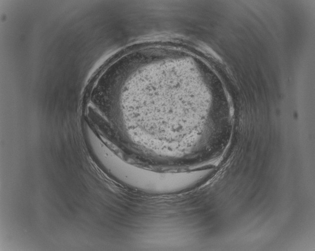 X0000072551216200607281640