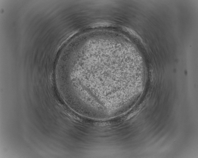 X0000072551217200607281640