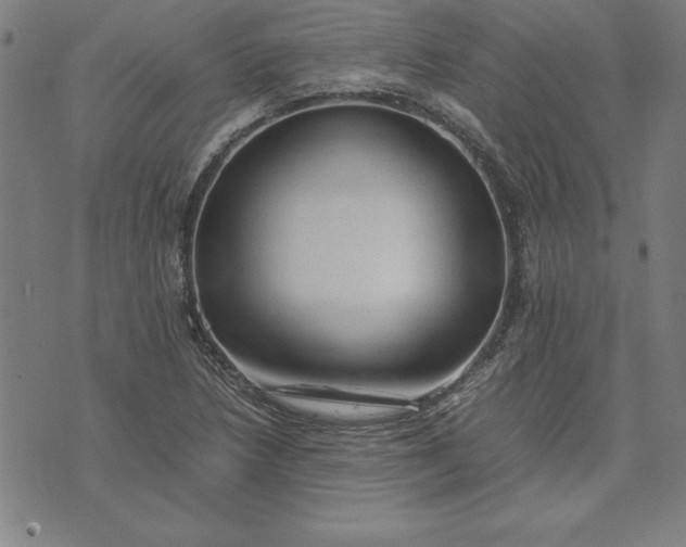 X0000072551218200607281640