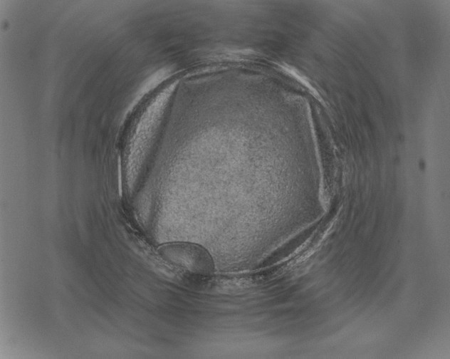 X0000072551219200607281640