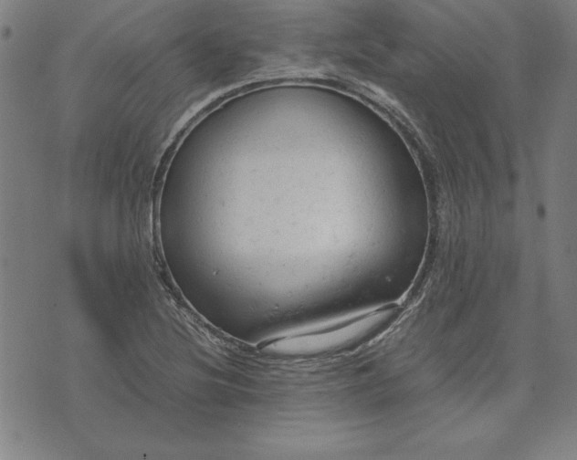 X0000072551220200607281640