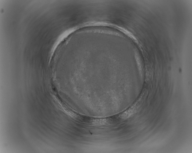 X0000072551223200607281640