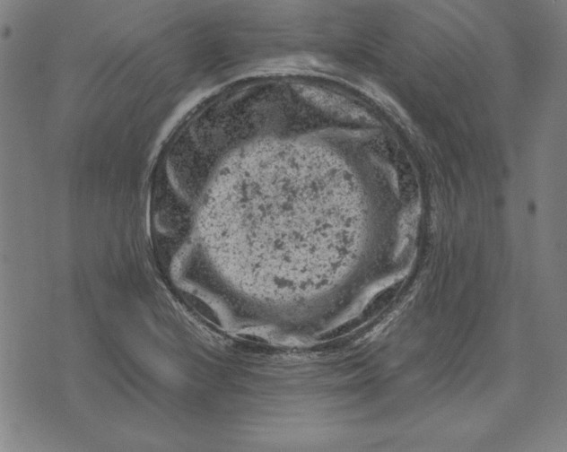 X0000072551224200607281640