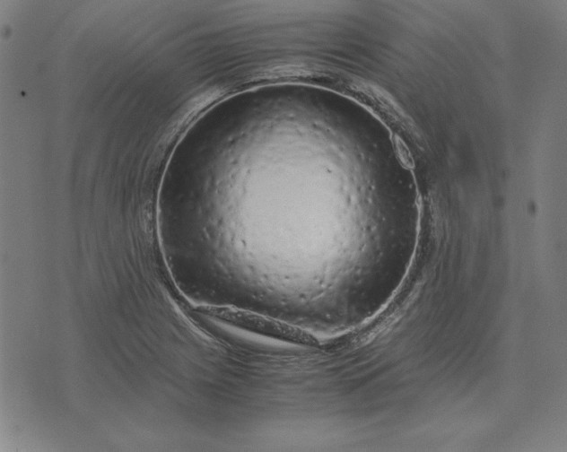 X0000072551225200607281640