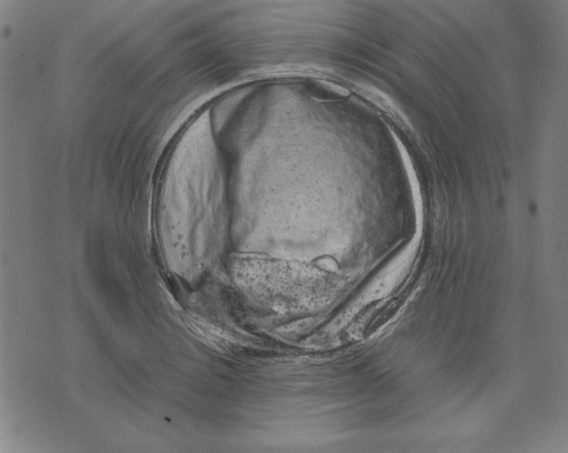 X0000072551228200607281640