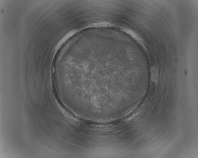 X0000072551229200607281640