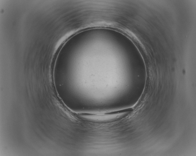 X0000072551230200607281640