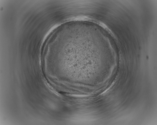 X0000072551232200607281640