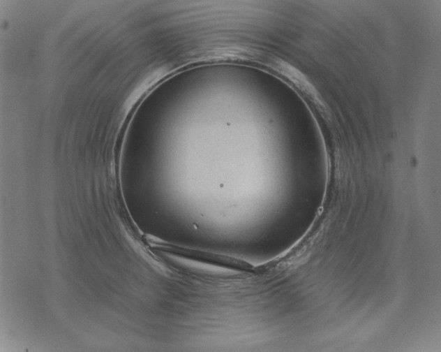 X0000072551234200607281640