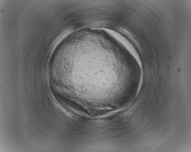 X0000072551235200607281640