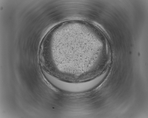 X0000072551236200607281640