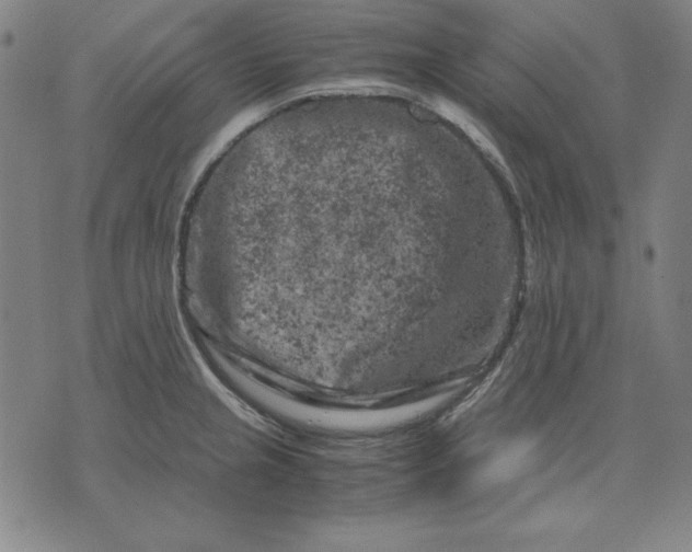 X0000072551237200607281641