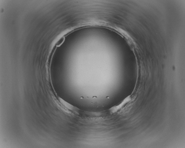 X0000072551238200607281641