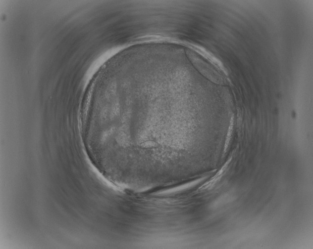 X0000072551239200607281641