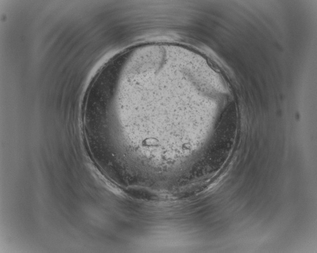 X0000072551240200607281641