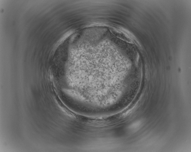 X0000072551241200607281641