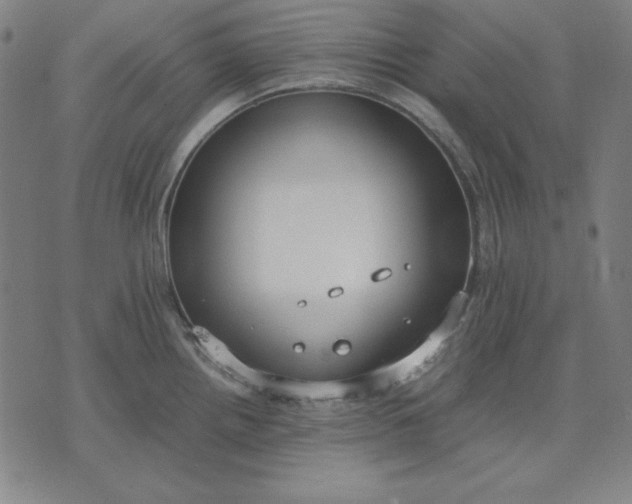 X0000072551242200607281641