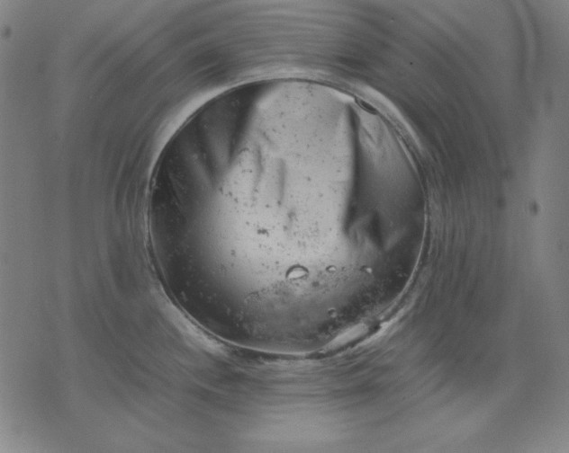 X0000072551244200607281641