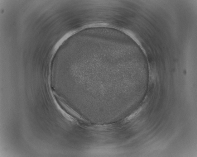 X0000072551245200607281641