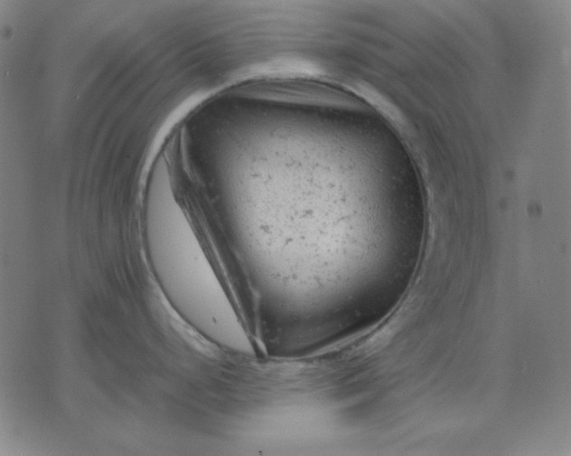 X0000072551248200607281641