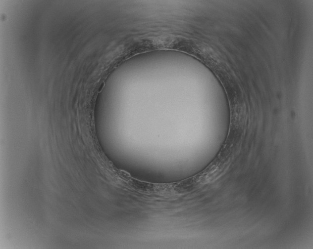 X0000072551249200607281640