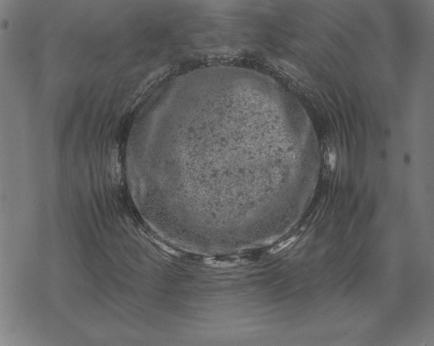 X0000072551252200607281640