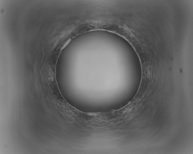 X0000072551253200607281640