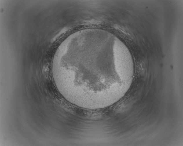 X0000072551254200607281640