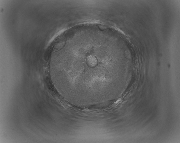 X0000072551255200607281640