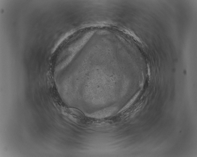 X0000072551256200607281640