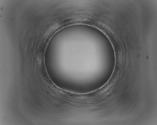 X0000072551257200607281640