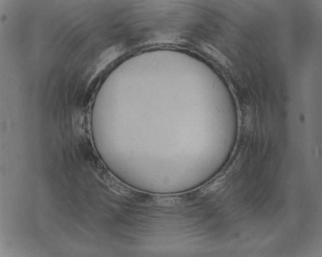 X0000072551258200607281640