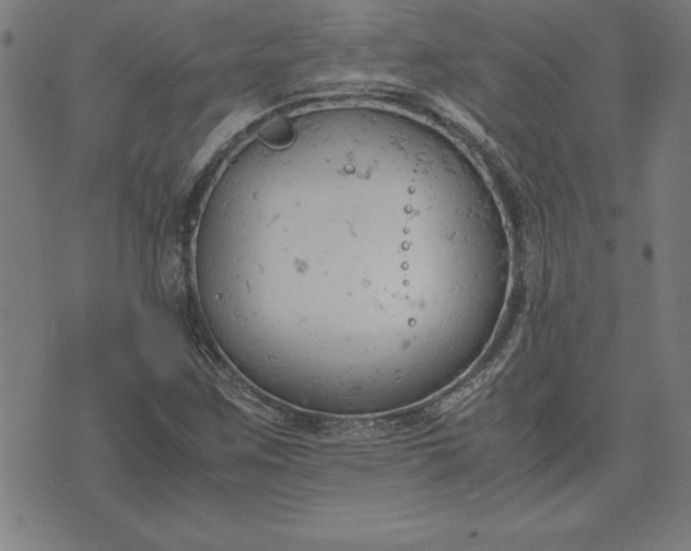 X0000072551259200607281640