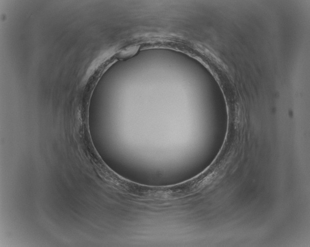 X0000072551261200607281640