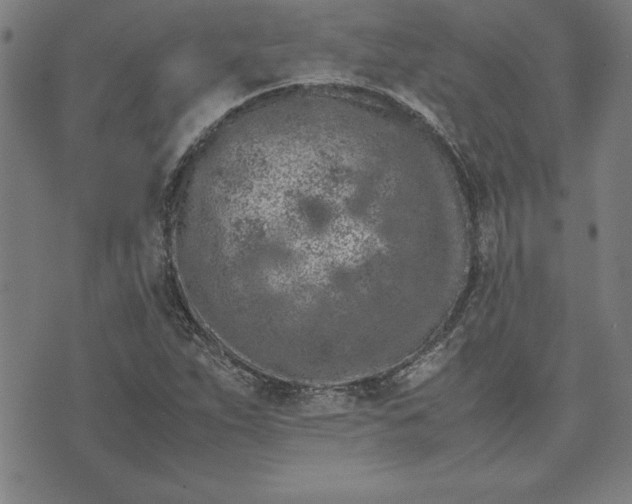 X0000072551263200607281640