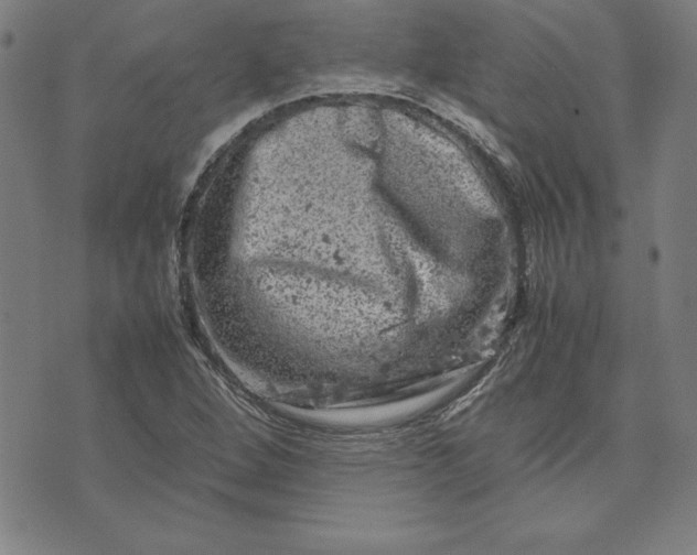 X0000072551264200607281640