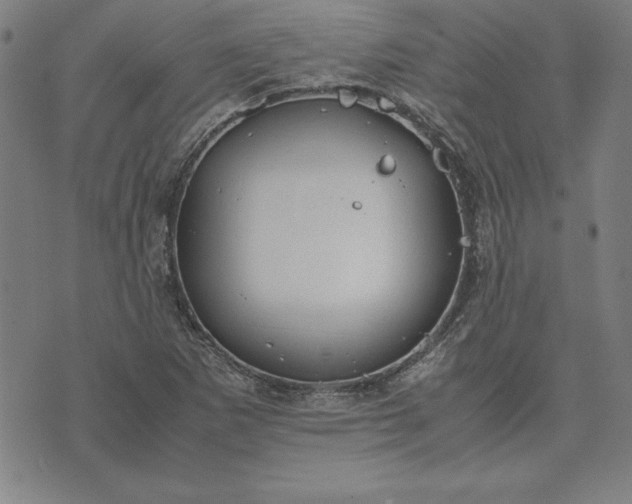 X0000072551265200607281640