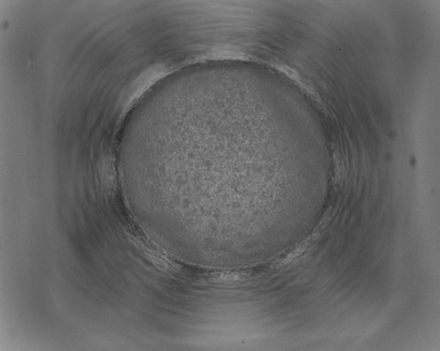 X0000072551266200607281640