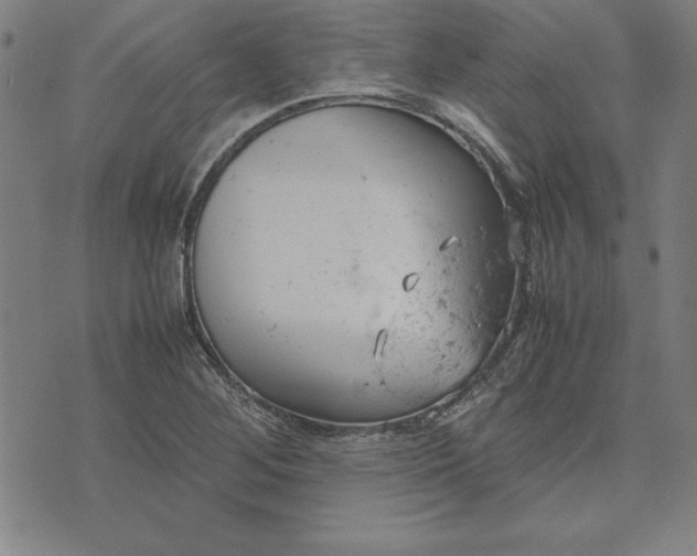 X0000072551268200607281640