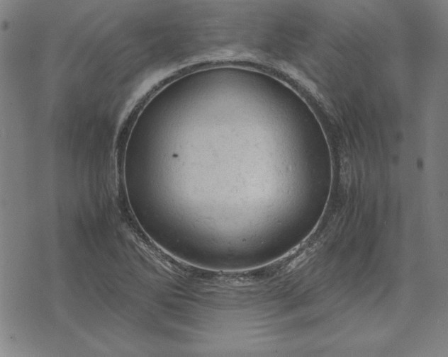 X0000072551270200607281640