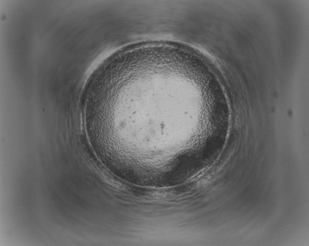 X0000072551271200607281640