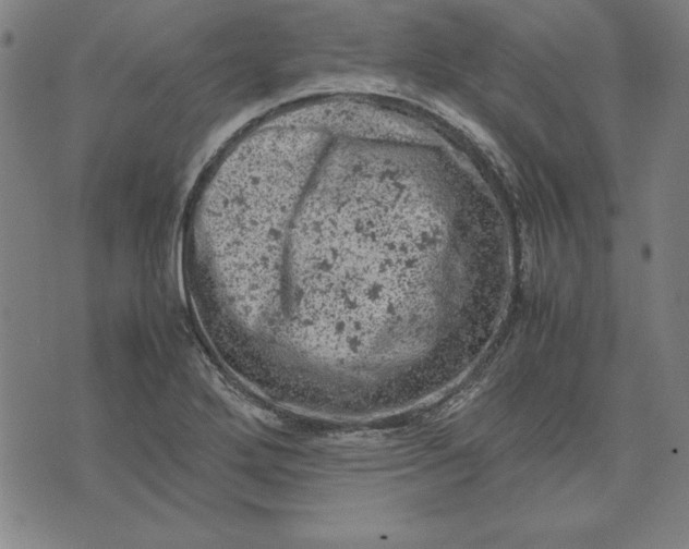 X0000072551272200607281640