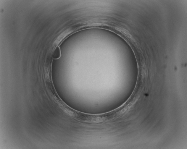 X0000072551273200607281640