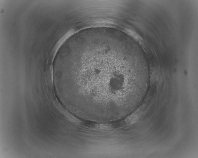 X0000072551275200607281639