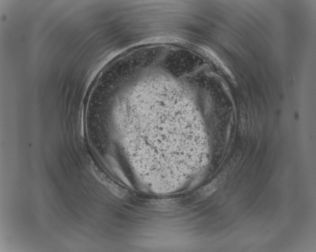 X0000072551276200607281639