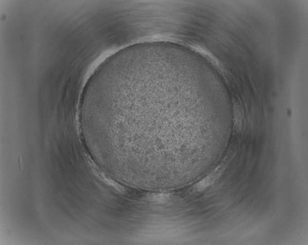 X0000072551278200607281639